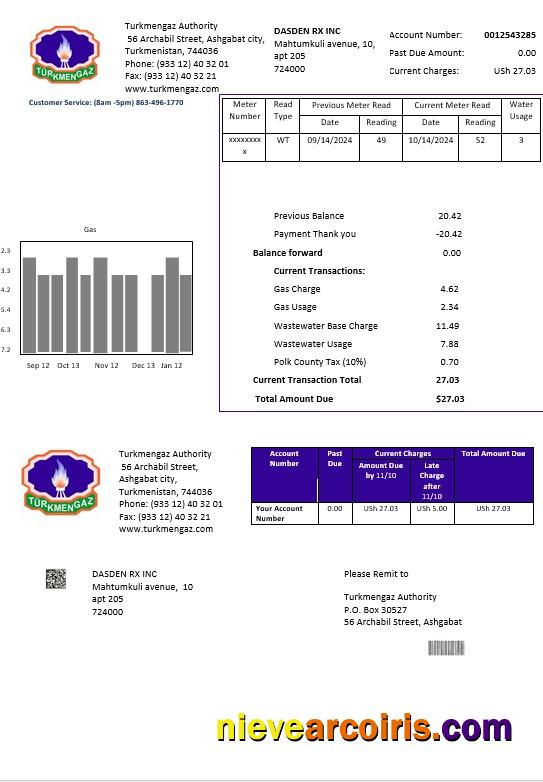 Turkmenistan Turkmengaz business utility bill